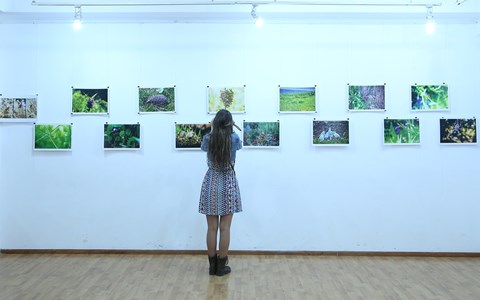 Felice Varini: 15 points of view