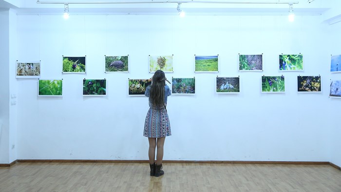 Gor Iskandaryan: Armenia's wildlife